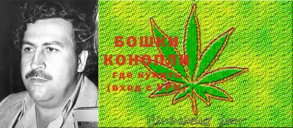 дмт Кинешма