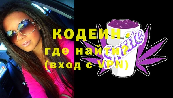 сатива Коряжма