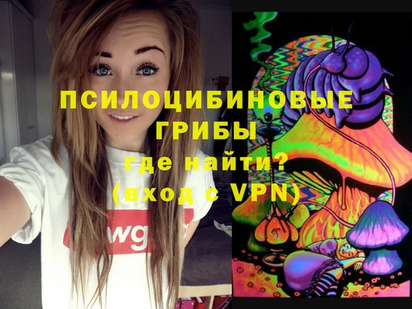 MDMA Новозыбков