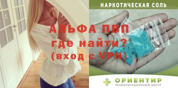 сатива Коряжма