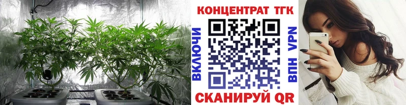 где найти   Красновишерск  ТГК вейп 