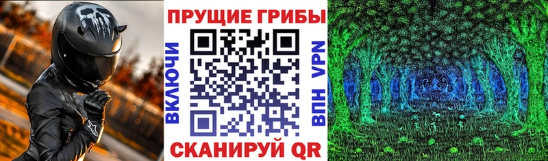 магазин продажи   Красновишерск  площадка Telegram  Псилоцибиновые грибы мухоморы 